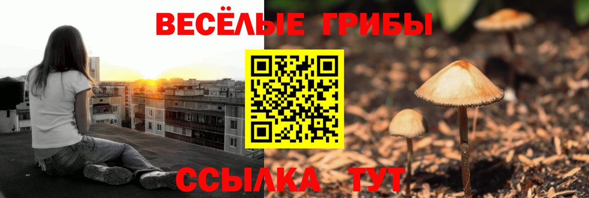 Галлюциногенные грибы Magic Shrooms Заволжье